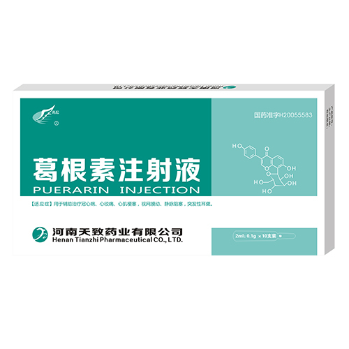 葛根素注射液  10支装  乙类
